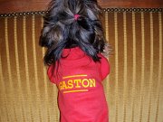 Gaston_de_Chatillon_146.JPG